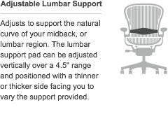 Aeron Ergonomic Chair with PostureFit Lumbar Support