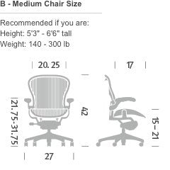 Aeron Ergonomic Chair with PostureFit Lumbar Support