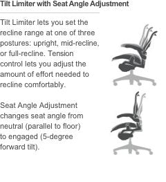 Aeron Ergonomic Chair with PostureFit Lumbar Support