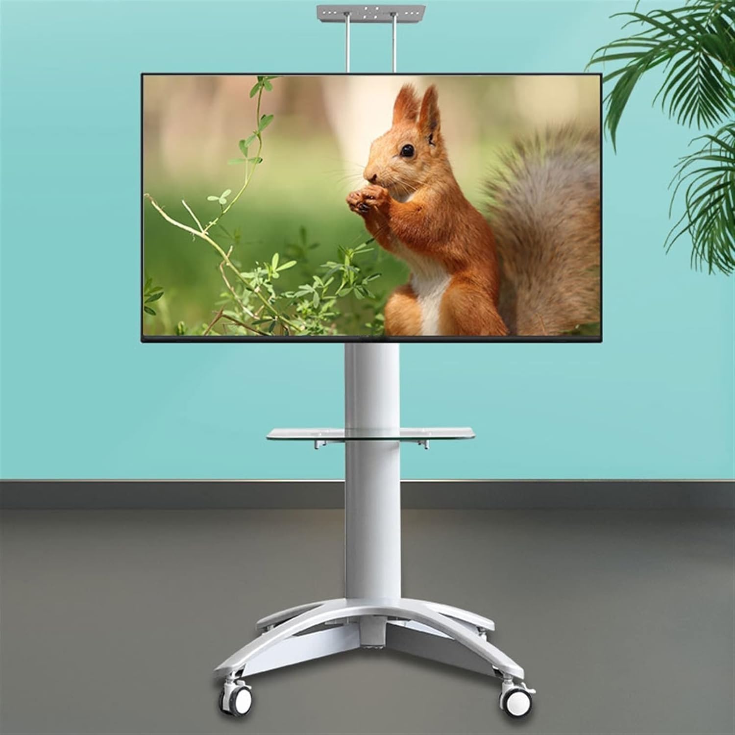 Mobile TV Cart for 32–65" Displays